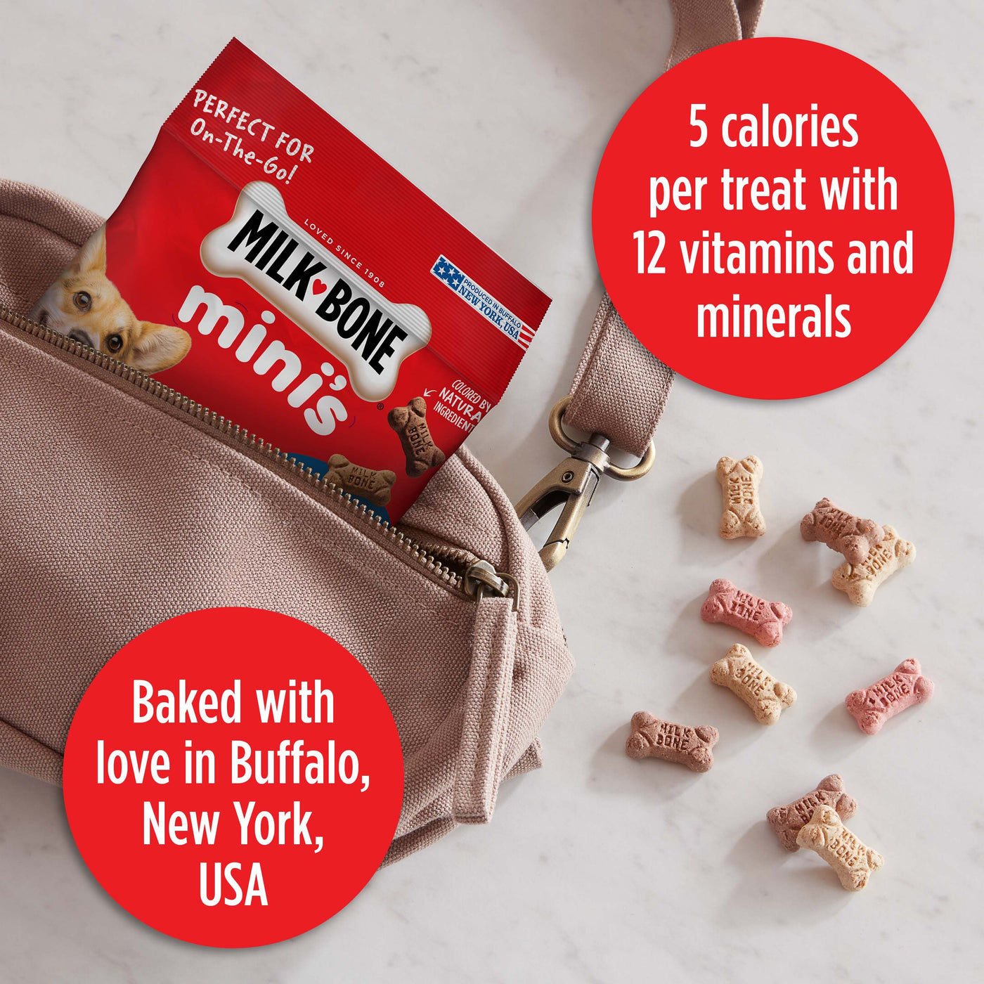 Milk-Bone Flavor Snacks Mini Dog Biscuits, 2.5 oz, Claims