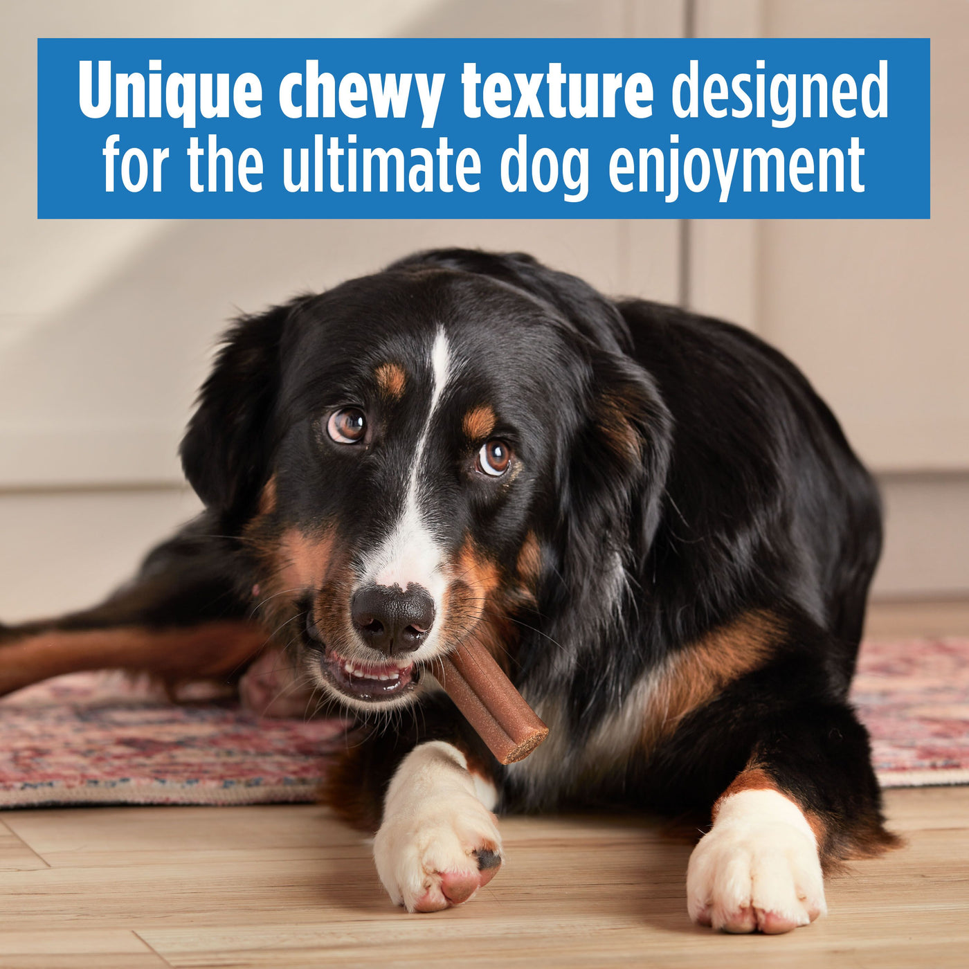 Milk-Bone Comfort Chews, Dog Chews with Unique Chewy Texture and Real Beef, 40.8 oz, Lifestyle Image
