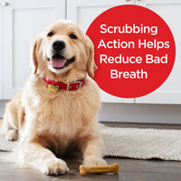 Milk-Bone Brushing Chews Daily Dental Dog Treats, Large, 6 Count, Lifestyle Image