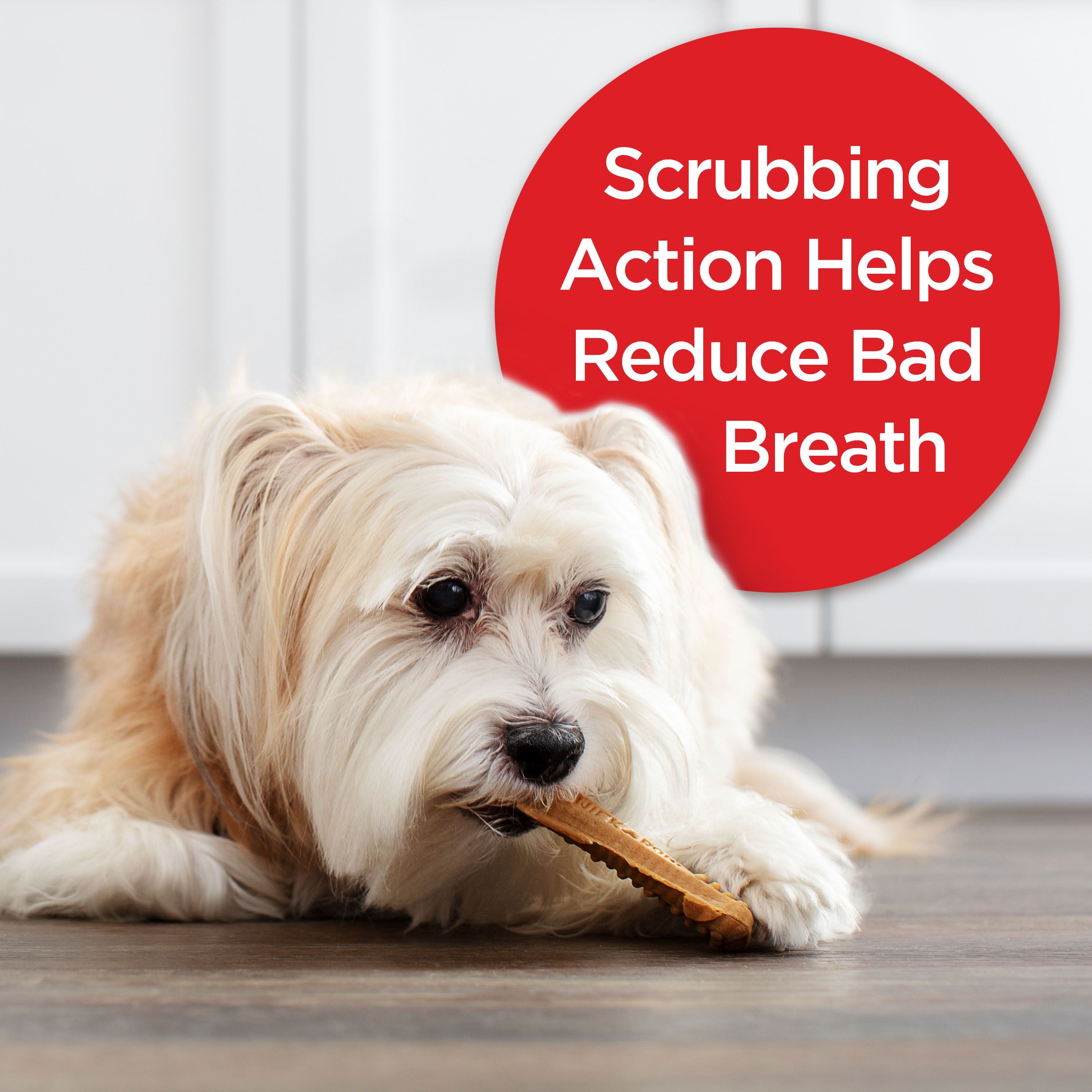 Milk-Bone Brushing Chews Daily Dental Dog Treats, Mini, 18 Count, "Scrubbing Action Helps Reduce Bad Breath"