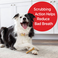 Milk-Bone Brushing Chews Daily Dental Dog Treats, Small-Medium, 9 Count, Lifestyle Image