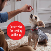 Milk-Bone Flavor Snacks Mini Dog Biscuits, 2.5 oz, Treating Lifestyle Image