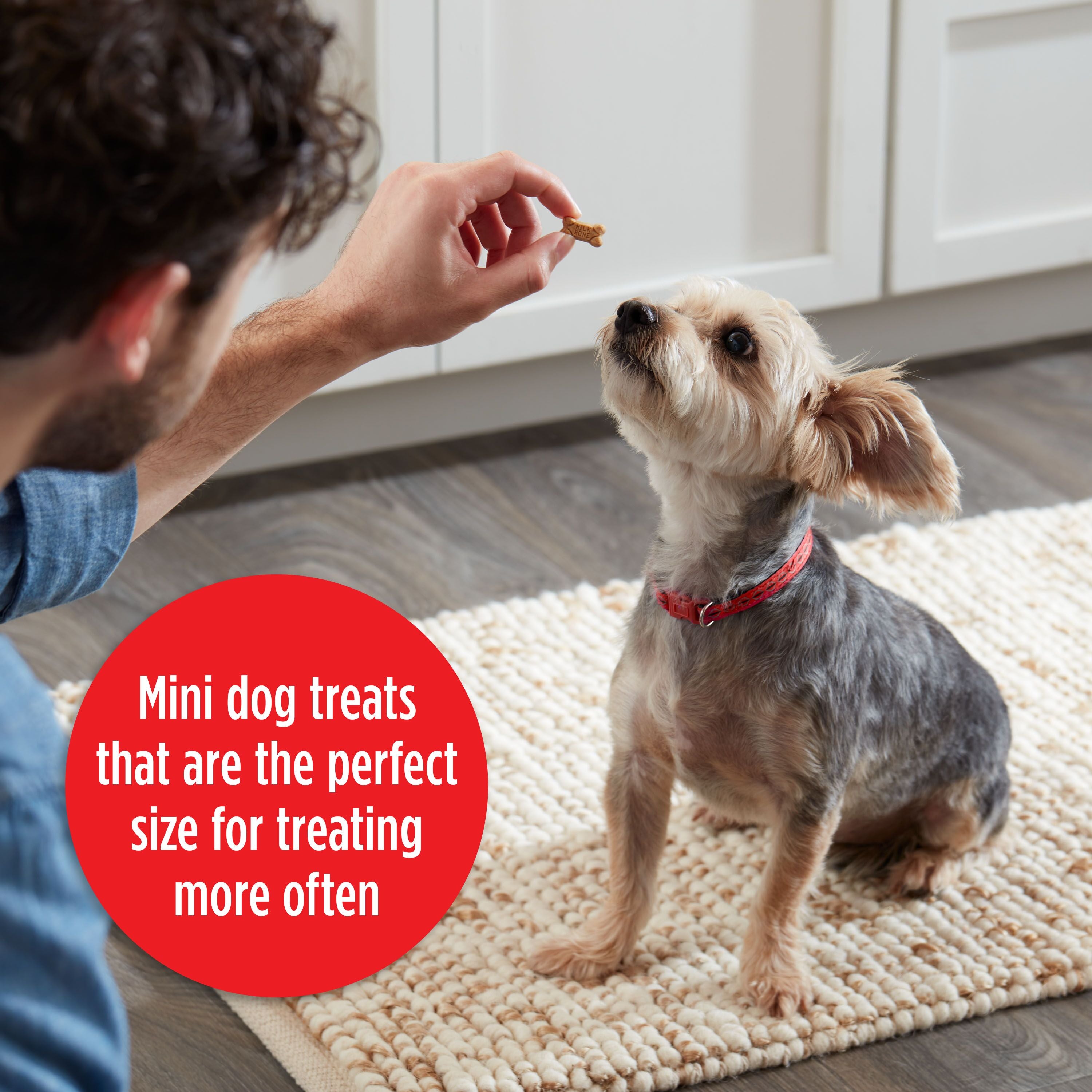 Milk-Bone Soft & Chewy Mini’s Dog Treats Made With Real Chicken, Treating Lifestyle Image