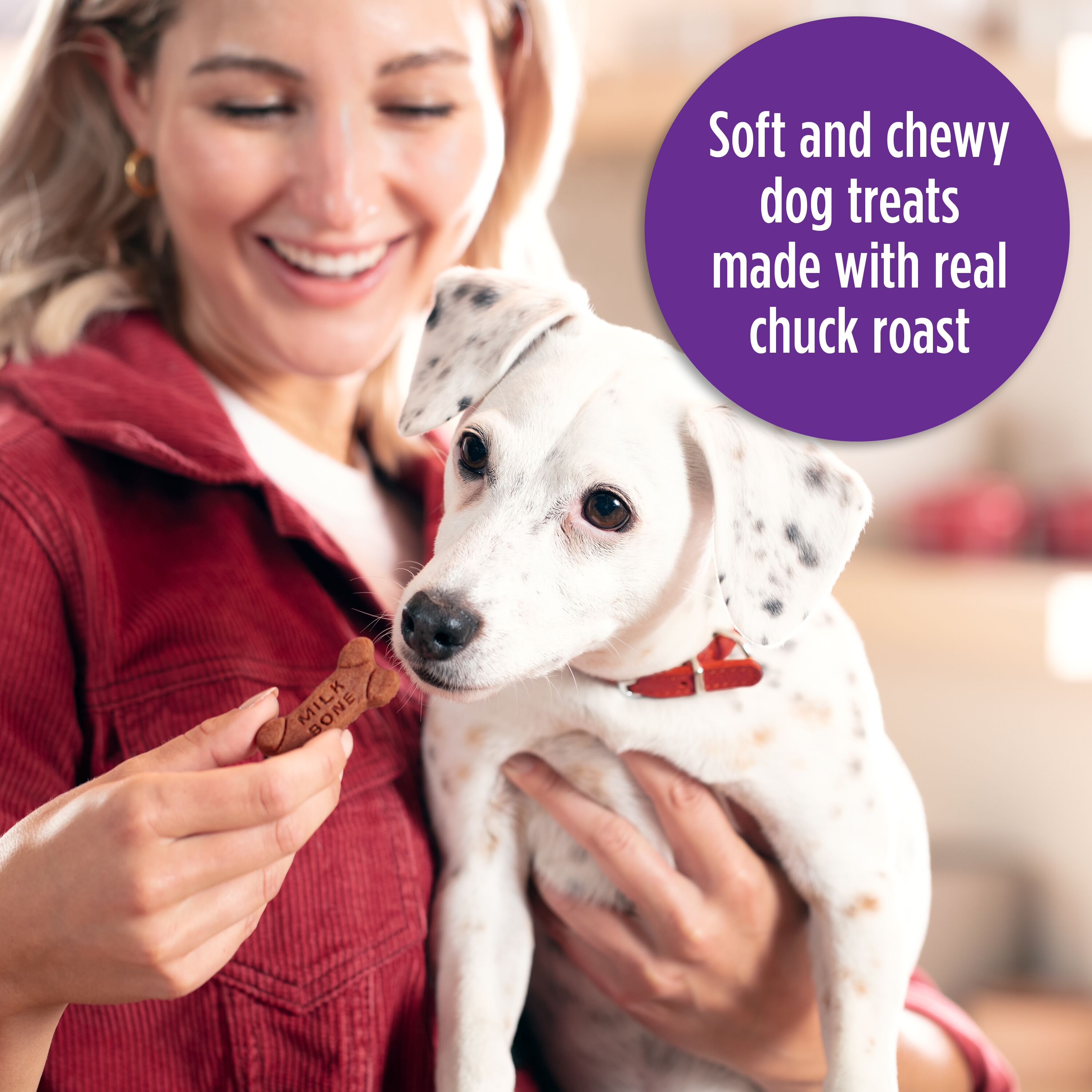 Milk-Bone Soft and Chewy Dog Treats, Beef and Filet Mignon Recipe With Chuck Roast, 25 oz