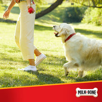 Milk-Bone Pill Pouches with Real Chicken Dog Treats, 6 oz, Lifestyle Image