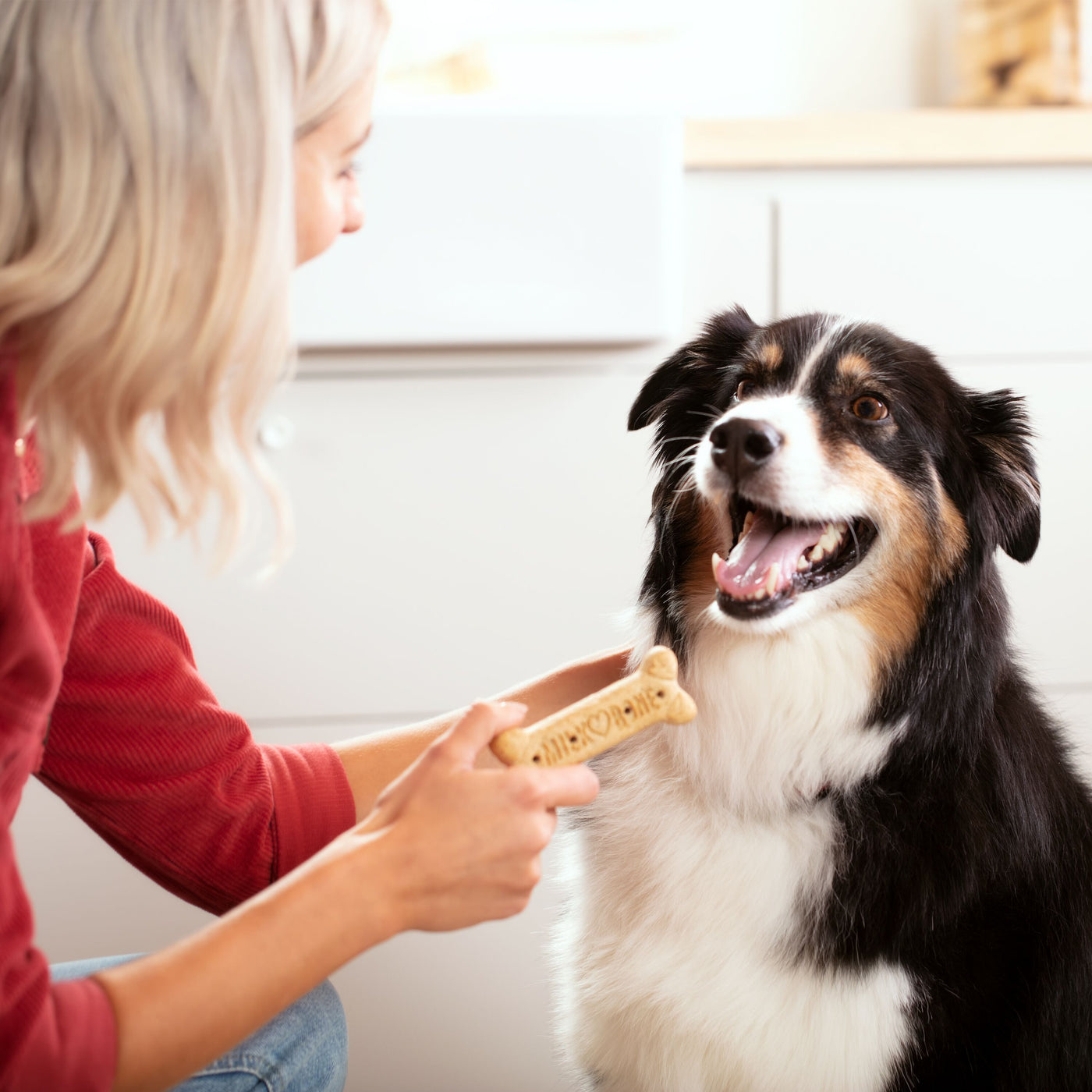 Milk-Bone Original Dog Biscuits, Large Crunchy Dog Treats, 24 oz