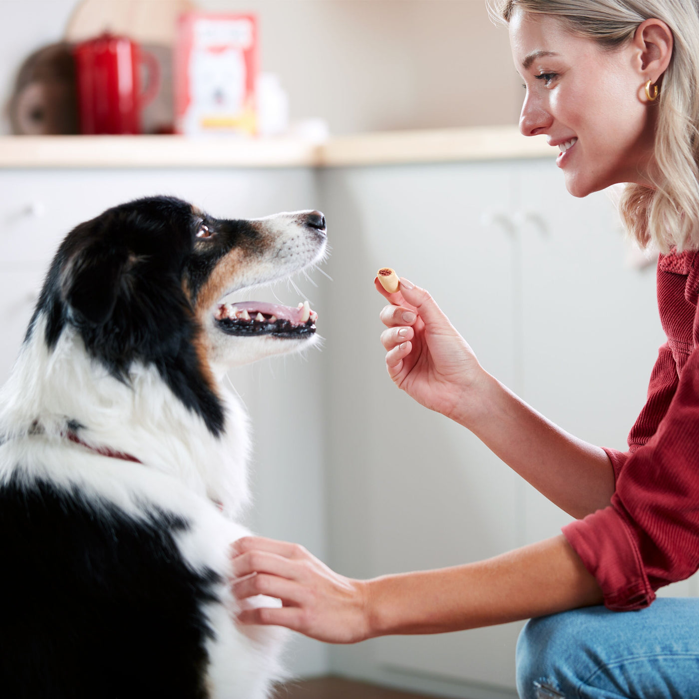 Milk-Bone MaroSnacks Bacon Flavor Small Dog Treats With Bone Marrow, 40 oz, Treating Lifestyle Image