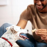Milk-Bone Original Mini Dog Biscuits, Crunchy Dog Treats, 15 oz, Lifestyle Image