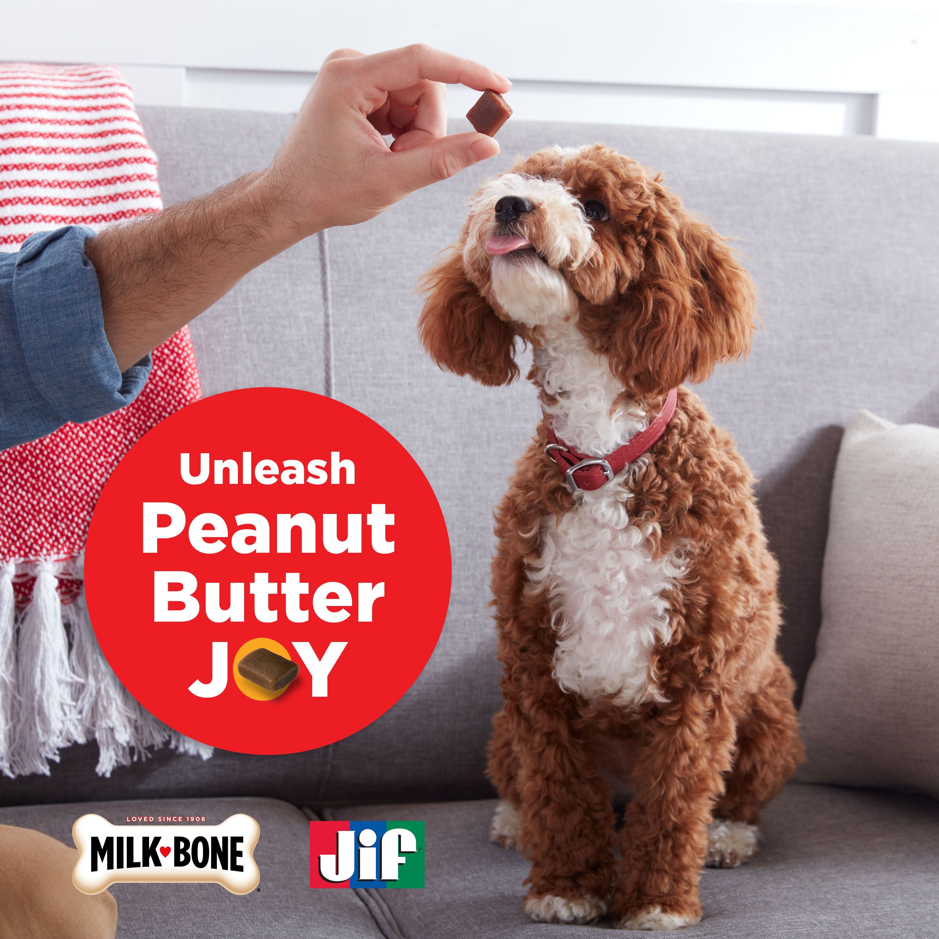 Milk-Bone Peanut Buttery Bites Soft Dog Treats With Jif Peanut Butter